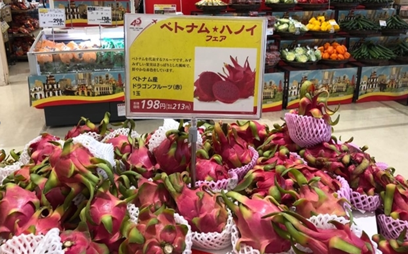 vietnam’s red dragon fruit available in japanese market hinh 0