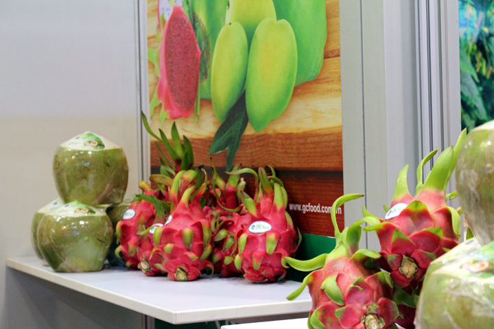 goodlife the first company export red flesh dragon fruit to japan